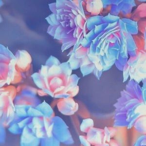 Meet your Posher, Rebeca